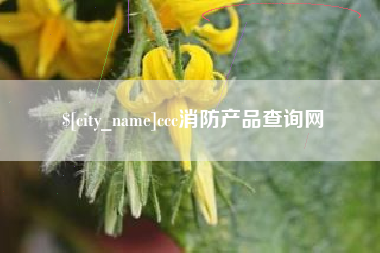龙海ccc消防产品查询网
