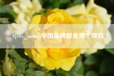 龙海中国金牌都是哪个项目