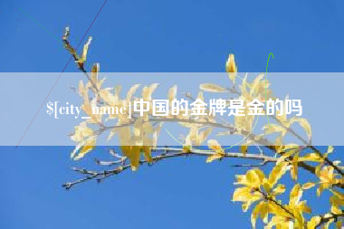 龙海中国的金牌是金的吗