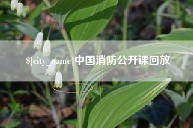 龙海中国消防公开课回放