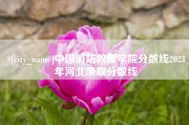 龙海中国消防救援学院分数线2023年河北录取分数线