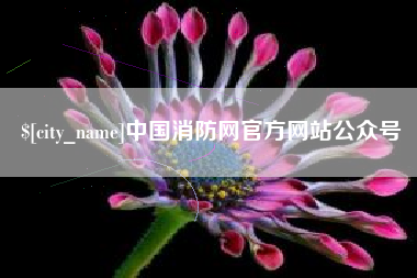 龙海中国消防网官方网站公众号