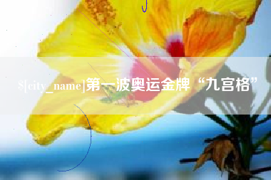 龙海第一波奥运金牌“九宫格”