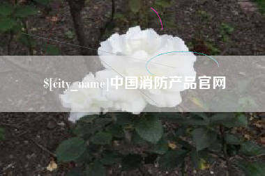 龙海中国消防产品官网