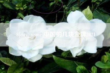 龙海中国的几块金牌2021