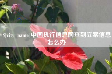 龙海中国执行信息网查到立案信息怎么办