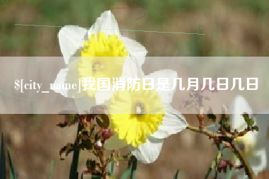 龙海我国消防日是几月几日几日