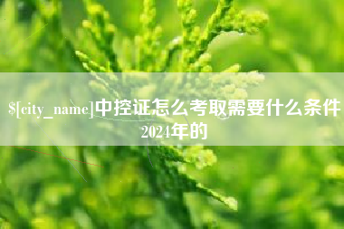 龙海中控证怎么考取需要什么条件2024年的