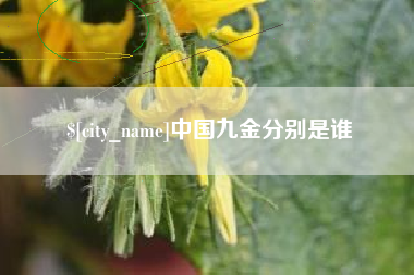 龙海中国九金分别是谁