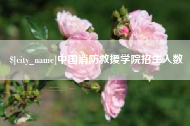 龙海中国消防救援学院招生人数