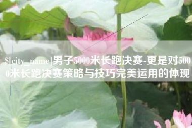 龙海男子5000米长跑决赛-更是对5000米长跑决赛策略与技巧完美运用的体现
