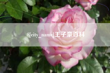 龙海王子豪百科