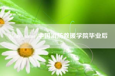 龙海中国消防救援学院毕业后