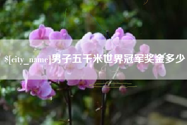 龙海男子五千米世界冠军奖金多少