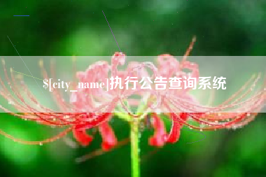 龙海执行公告查询系统