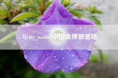 龙海中国金牌都是啥