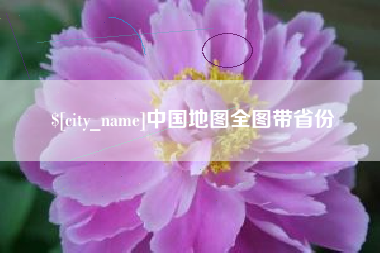 龙海中国地图全图带省份