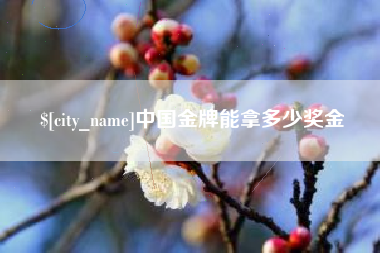龙海中国金牌能拿多少奖金