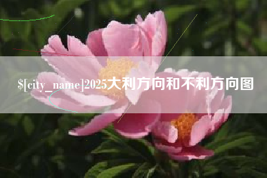 龙海2025大利方向和不利方向图