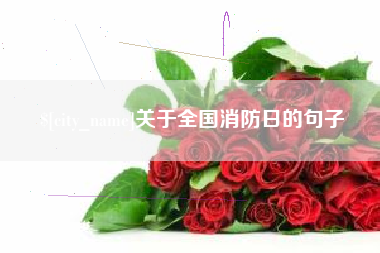 龙海关于全国消防日的句子