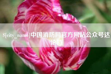 龙海中国消防网官方网站公众号达伦特