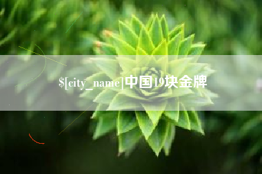 龙海中国19块金牌
