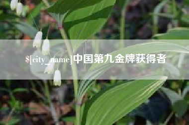 龙海中国第九金牌获得者