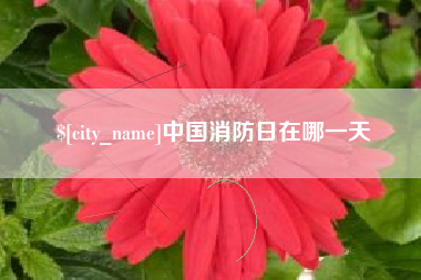 龙海中国消防日在哪一天