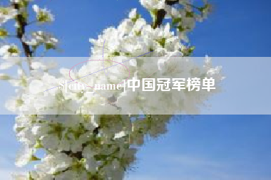 龙海中国冠军榜单