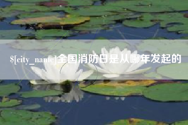 龙海全国消防日是从哪年发起的