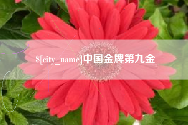 龙海中国金牌第九金