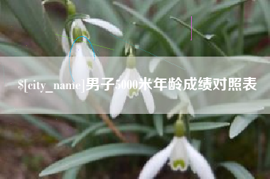 龙海男子5000米年龄成绩对照表