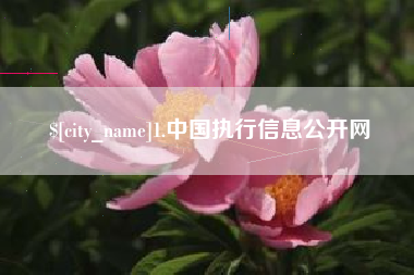 龙海1.中国执行信息公开网