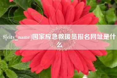 龙海国家应急救援员报名网址是什么