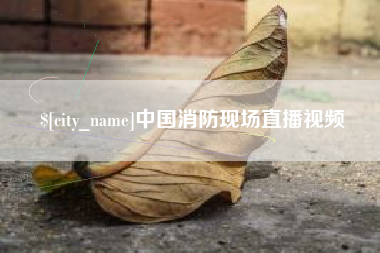 龙海中国消防现场直播视频