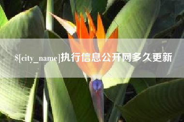 龙海执行信息公开网多久更新