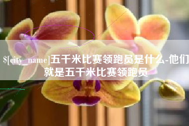 龙海五千米比赛领跑员是什么-他们就是五千米比赛领跑员