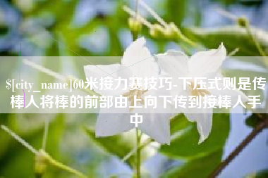 龙海60米接力赛技巧-下压式则是传棒人将棒的前部由上向下传到接棒人手中