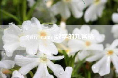 龙海数字的九宫格