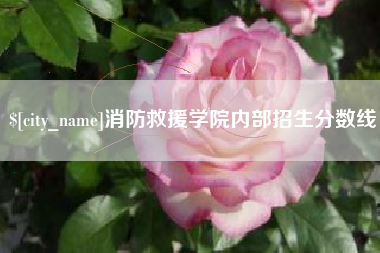 龙海消防救援学院内部招生分数线