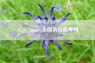 龙海全国消防招考网
