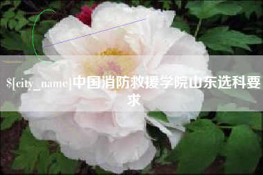 龙海中国消防救援学院山东选科要求
