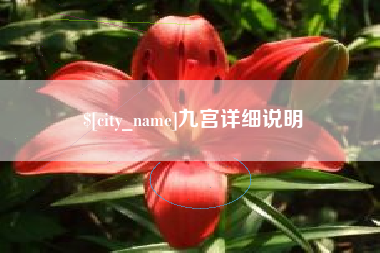 龙海九宫详细说明
