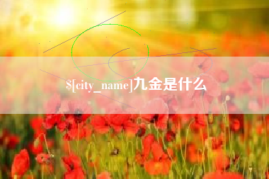 龙海九金是什么