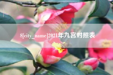 龙海2021年九宫对照表