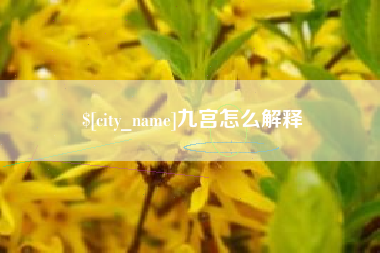 龙海九宫怎么解释
