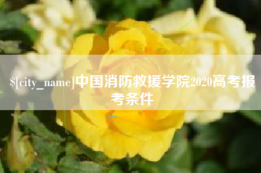 龙海中国消防救援学院2020高考报考条件