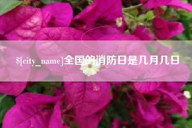 龙海全国的消防日是几月几日