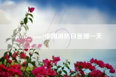 龙海中国消防日是哪一天