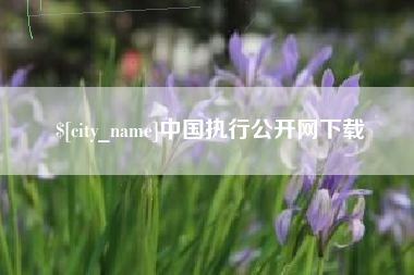 龙海中国执行公开网下载